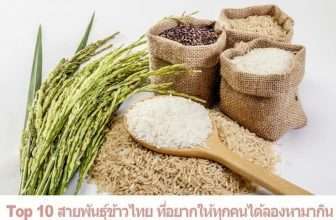 Top 10 สายพันธุ์ข้าวไทย ที่อยากให้ทุกคนได้ลองหามากิน