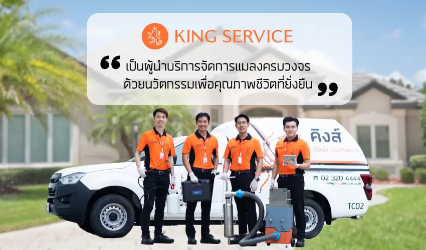 รวบรวม 10 อันดับ บริษัทบริการกำจัดปลวกและแมลงทุกระบบที่แนะนำ! ในปี [wpsm_custom_meta type=date field=year] 1