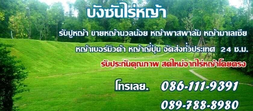 10 ร้านค้าจำหน่ายหญ้าคุณภาพดีในราคาที่ถูกที่สุด! 6 จำหน่ายหญ้า