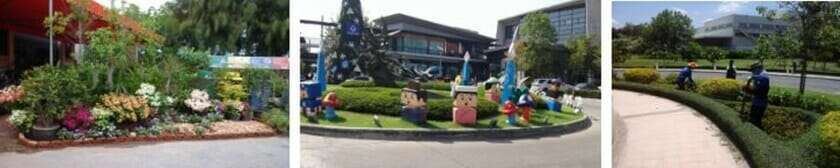 บริการงานตกแต่งดูแลสวน