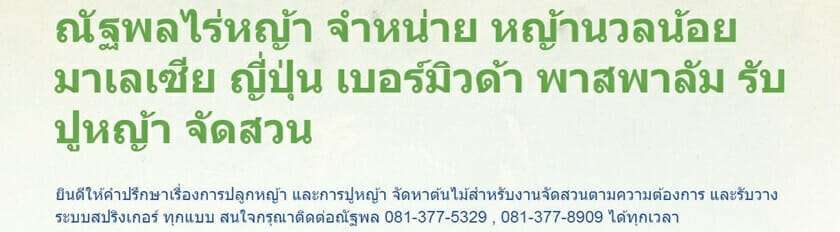 10 ร้านค้าจำหน่ายหญ้าคุณภาพดีในราคาที่ถูกที่สุด! 8 หญ้าตลาดคำเที่ยง