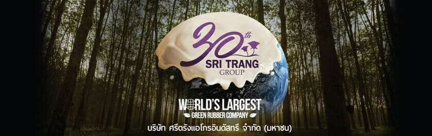 10 ผู้ผลิตและจัดจำหน่ายยางพาราคุณภาพดี เทคโนโลยีการผลิตทันสมัย 2 รูปสวนยางพาราสวยๆ