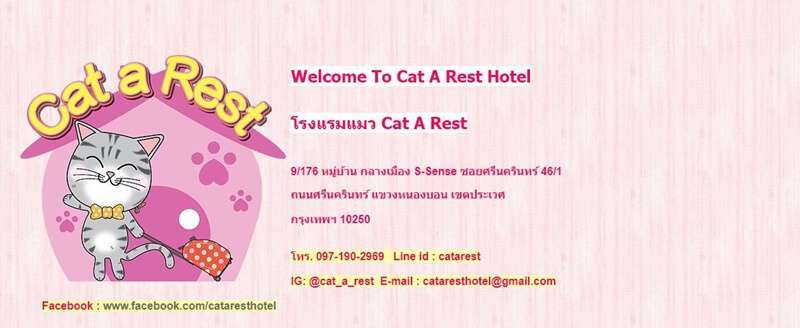 10 โรงแรมแมวยอดนิยมในกรุงเทพ(สะอาด,ปลอดภัย,ดูแลดี) ที่คนรักแมวต้องไม่พลาด 3 ธรุกิจโรงแรมแมว