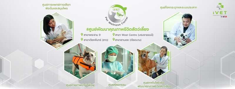 10 โรงแรมแมวยอดนิยมในกรุงเทพ(สะอาด,ปลอดภัย,ดูแลดี) ที่คนรักแมวต้องไม่พลาด 4 โรงแรมแมวทันสมัย