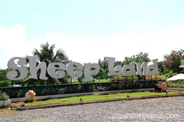 100 อันดับสถานที่ท่องเที่ยวยอดนิยมในเขาใหญ่ 27 Sheep Land Farm