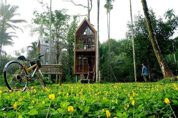 100 อันดับสถานที่ท่องเที่ยวยอดนิยมในเขาใหญ่ 14 Sweet & Green ฟาร์มออร์แกนิค
