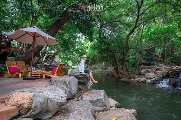 100 อันดับสถานที่ท่องเที่ยวยอดนิยมในเขาใหญ่ 90 ต้นน้ำคาเฟ่ เขาใหญ่