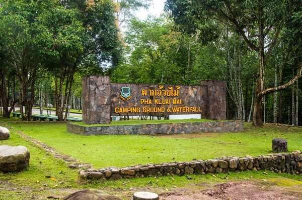 100 อันดับสถานที่ท่องเที่ยวยอดนิยมในเขาใหญ่ 62 ผากล้วยไม้