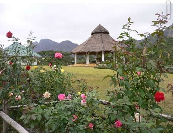 100 อันดับสถานที่ท่องเที่ยวยอดนิยมในเขาใหญ่ 38 หอมกุหลาบกลางพนา