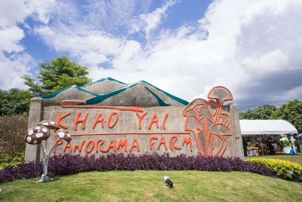 100 อันดับสถานที่ท่องเที่ยวยอดนิยมในเขาใหญ่ 20 เขาใหญ่ พาโนราม่า ฟาร์ม