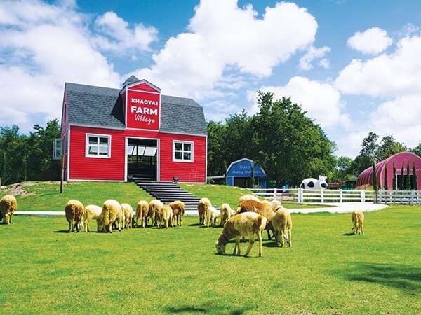 100 อันดับสถานที่ท่องเที่ยวยอดนิยมในเขาใหญ่ 25 เขาใหญ่ฟาร์มวิลเลจ (Khao Yai Farm Village)