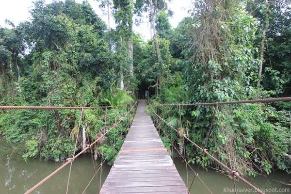 100 อันดับสถานที่ท่องเที่ยวยอดนิยมในเขาใหญ่ 71 เส้นทางธรรมชาติกองแก้ว อุทยานแห่งชาติเขาใหญ่