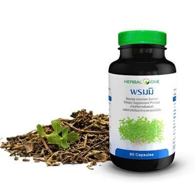 อยากความจำดีต้องลอง10 ผลิตภัณฑ์เสริมอาหาร bacopa สมุนไพรบำรุงสมองให้แข็งแรง 6 อยากความจำดีต้องลอง10 ผลิตภัณฑ์เสริมอาหาร bacopa สมุนไพรบำรุงสมองให้แข็งแรง 6