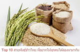 Top 10 สายพันธุ์ข้าวไทย ที่อยากให้ทุกคนได้ลองหามากิน