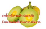 ลดน้ำหนักรวดเร็ว ปลอดภัยด้วยผลิตภัณฑ์เสริมอาหารส้มแขก