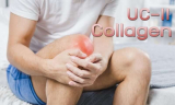 ’อาหารเสริม UC-II Collagen’ ยี่ห้อไหนดี ? 10 อาหารเสริม Collagen Type-II สำหรับแก้ปัญหาข้อต่อและกระดูก ให้แข็งแรง ในปี 2026