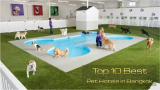 10 สถานที่รับฝากสัตว์หมดปัญหากังวล หากมีทริปท่องเที่ยวไกล ถูกใจแน่นอน